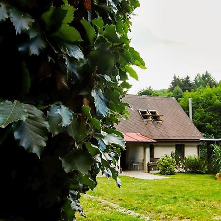 Villa Chaloupka Zdarky Exterior foto